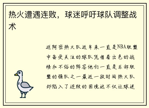 热火遭遇连败，球迷呼吁球队调整战术